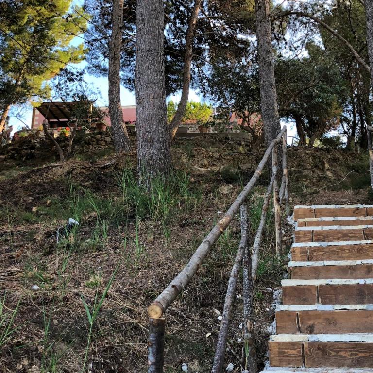 Villa Mariza - Villa - 54