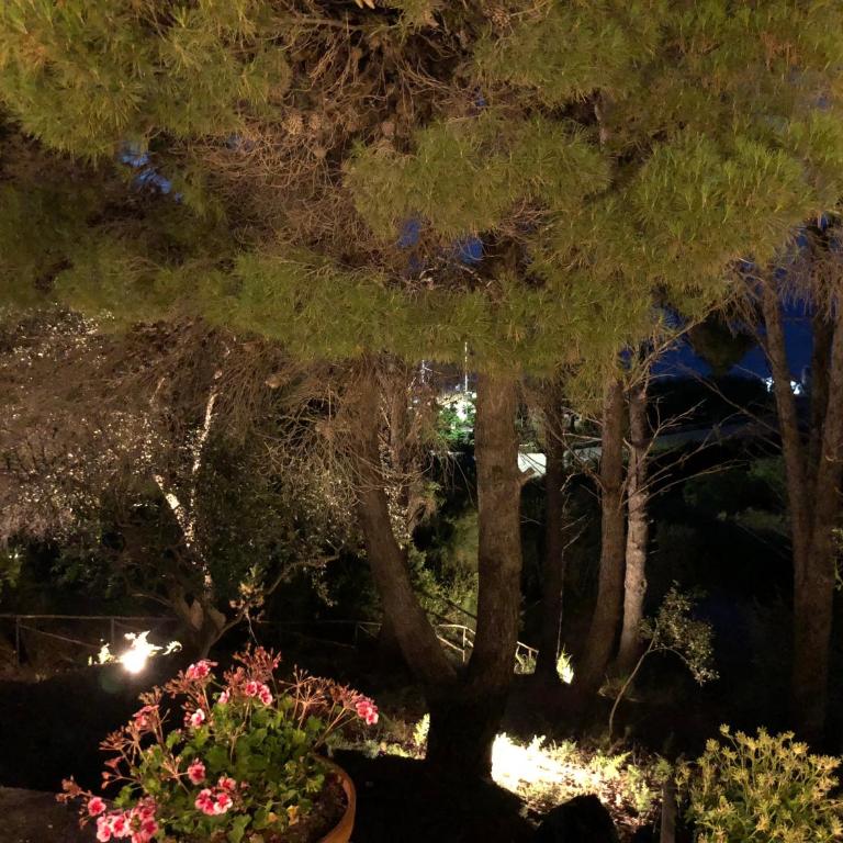 Villa Mariza - Villa - 58