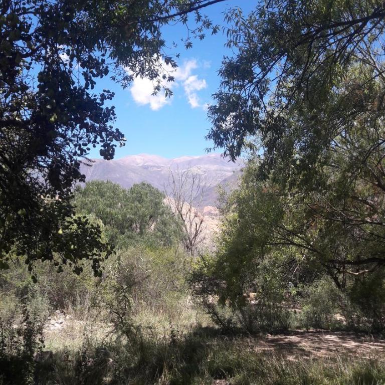 Cabaña Santa Rita - Tilcara - Casa de 2 dormitorios - 55