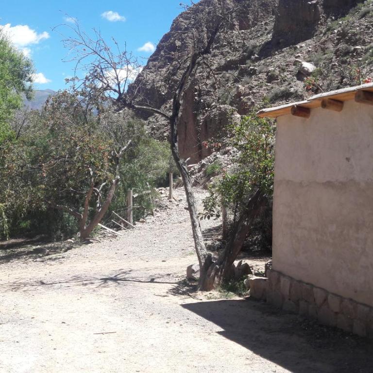 Cabaña Santa Rita - Tilcara - Casa de 2 dormitorios - 52