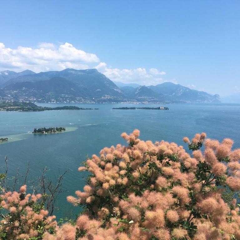 Venere - Appartamento - 27