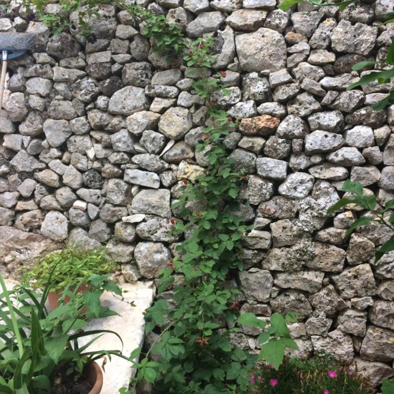 Dimora Le Zagare - Appartamento - 43