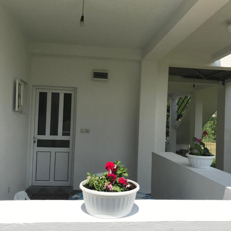 Apartmani Dragana - Apartment with Balcony - 6