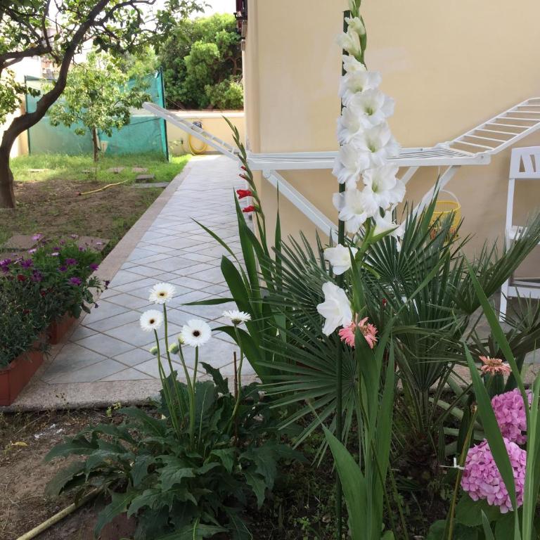 Appartamento in Villa Andreina - Appartamento con 2 Camere da Letto - 56