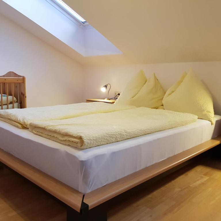 Ferienwohnung Lenz - Apartamento con vistas a las montañas - 13