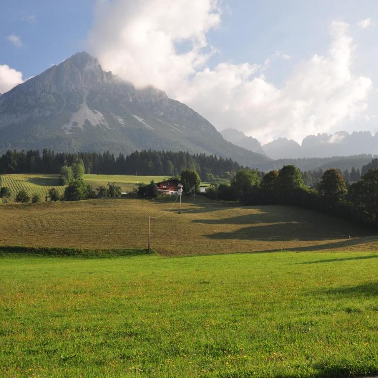 Landhotel Föhrenhof Ellmau - Junior Suite mit Bergblick - 1