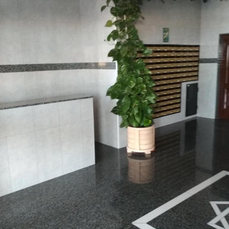 Perla 5, primera línea de playa y centrico - Apartamento de 1 dormitorio - 35