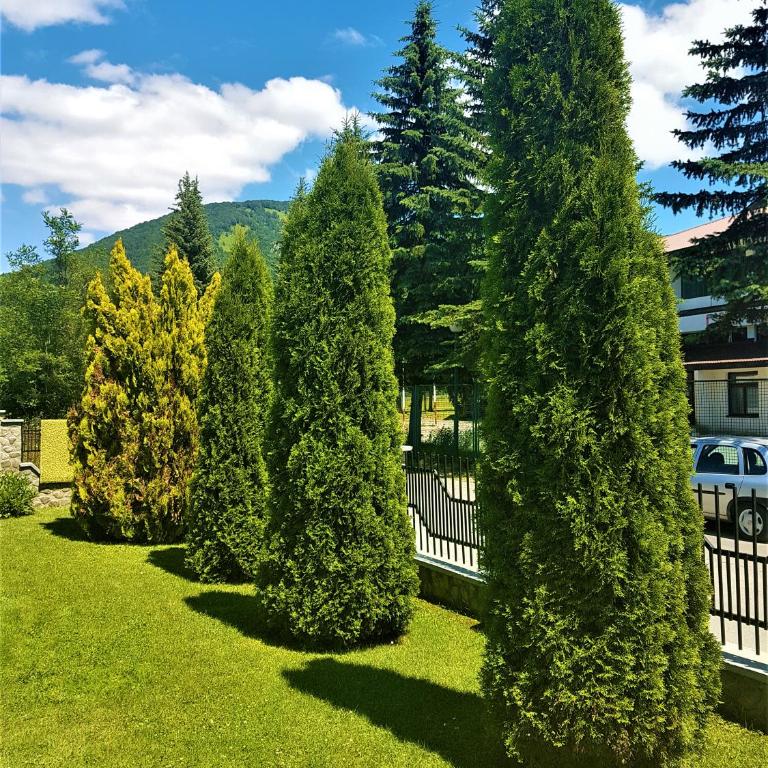 Stone Lodge 2 - Apartman - 35