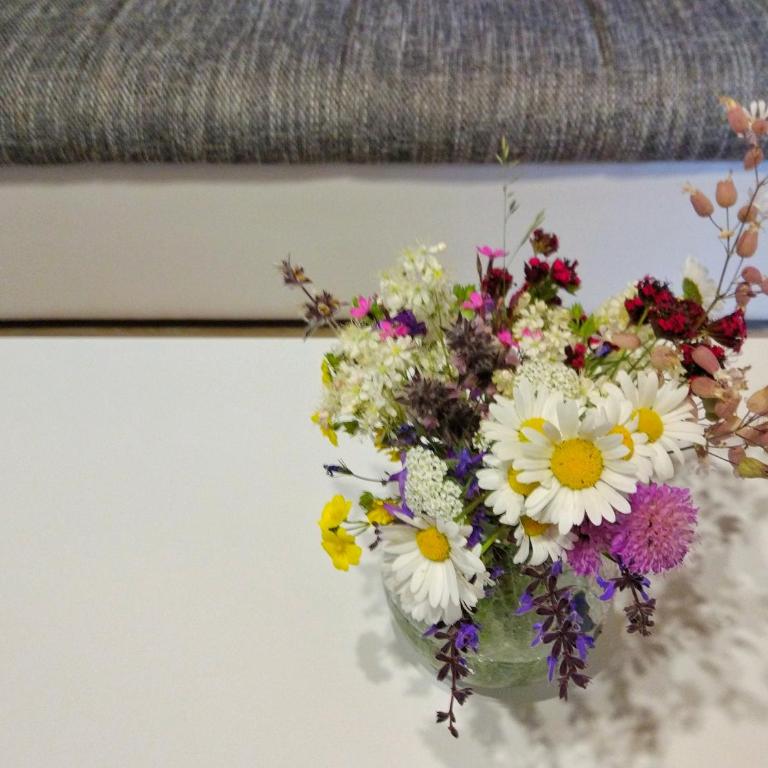 Cabarkapa Guesthouse - Penthouse Apartment - 8