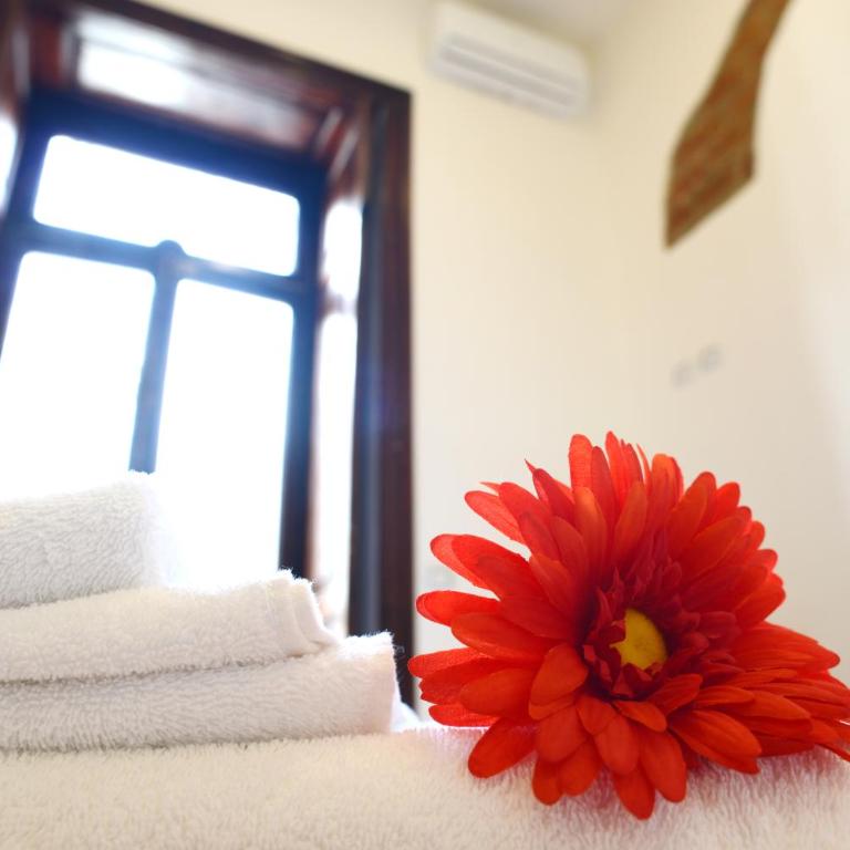 Vic' Street B&B - Camera Matrimoniale con Bagno Privato - 2