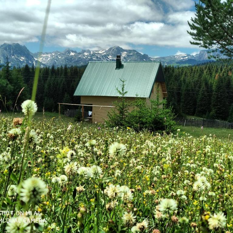 Eco house - Villa - 21