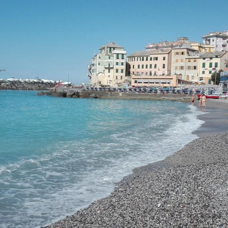 The Terrace, my place - Appartamento - 35