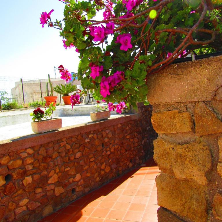 La Vite - Casa Vacanze - 15