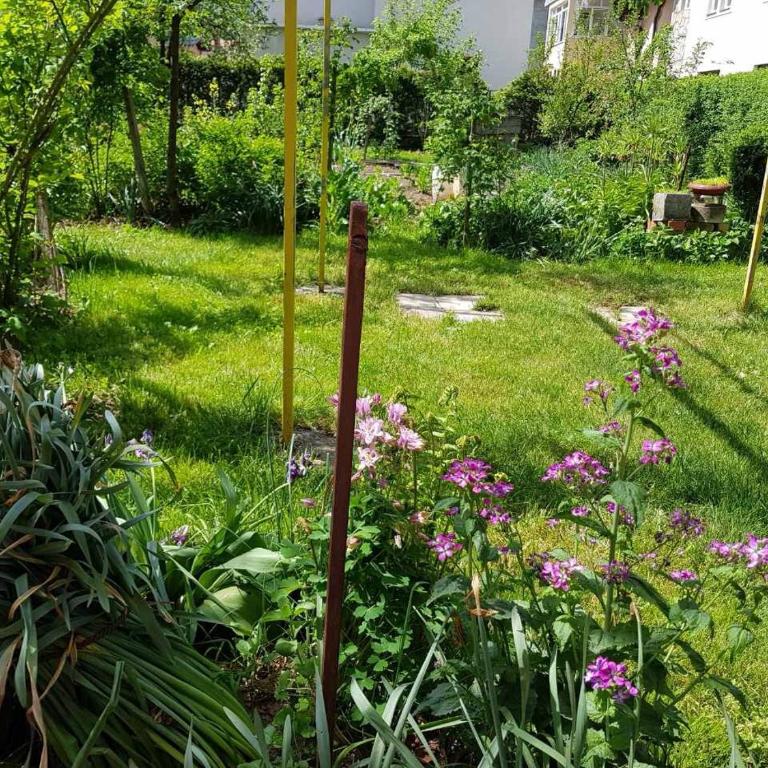 Emina - Two-Bedroom Apartment - 18