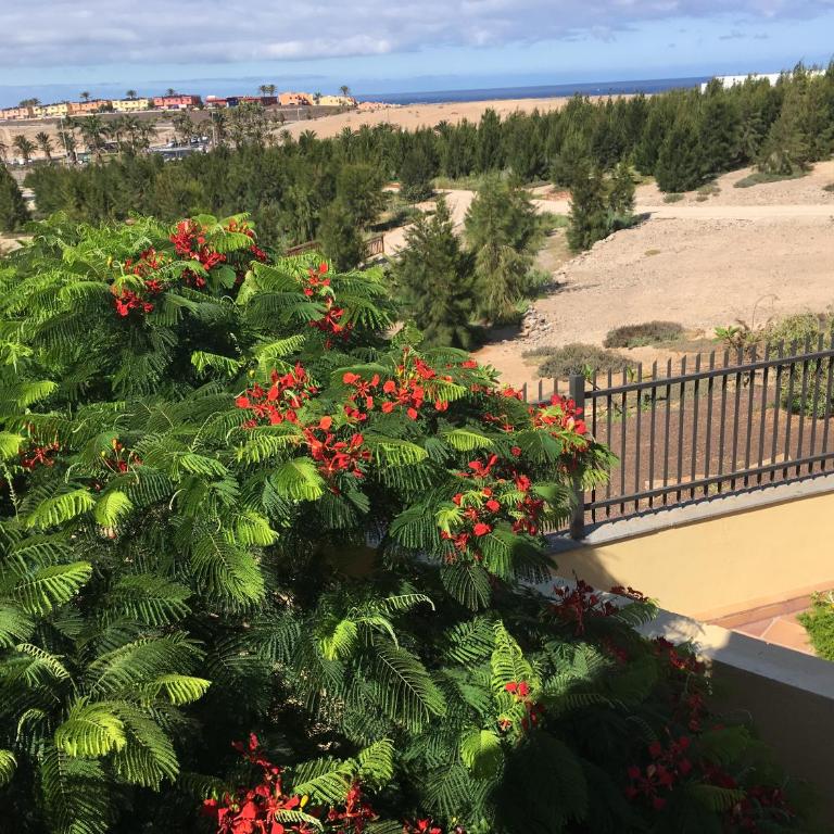Vivienda Las Velas - Vacation Home - 7