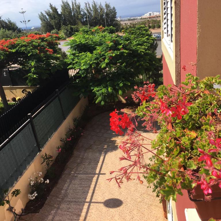 Vivienda Las Velas - Vacation Home - 6