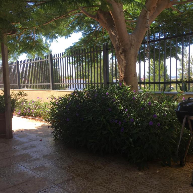 Vivienda Las Velas - Vacation Home - 11