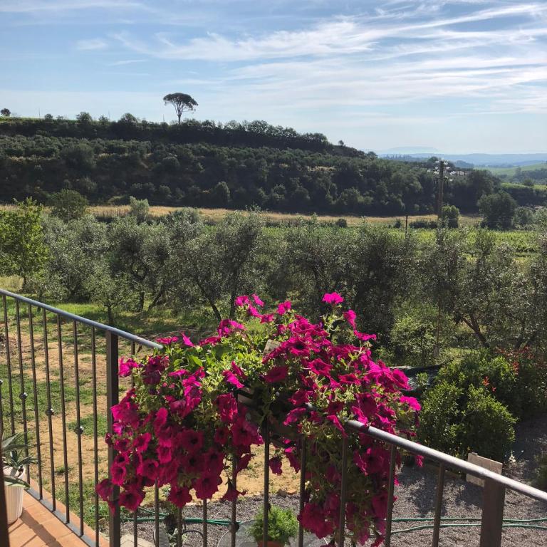 Villetta Toscana - Montepulciano - Villa - 32