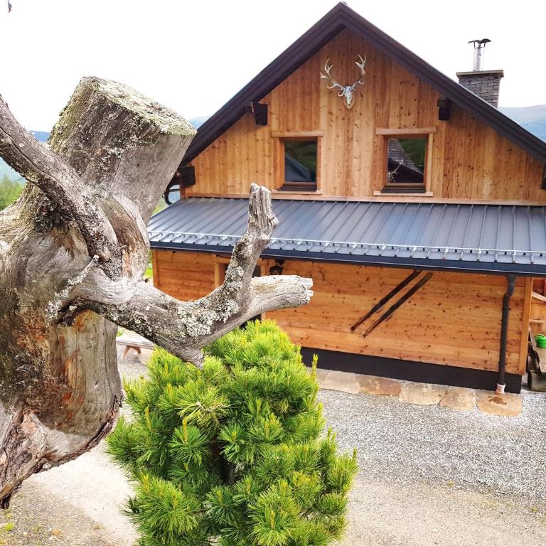 Almhütte Kristabauer - Ferienhaus - 3
