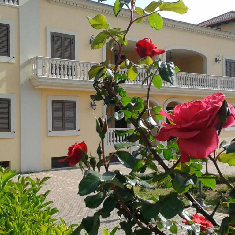 Villa Belvedere - Casa Vacanze - 1