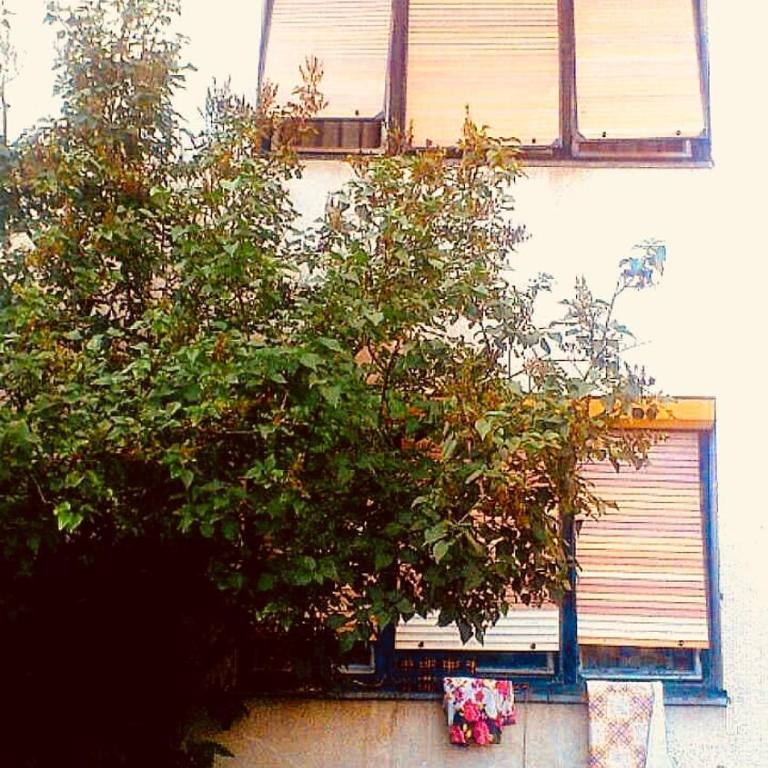 Apartman Retro Una - Apartman - 12
