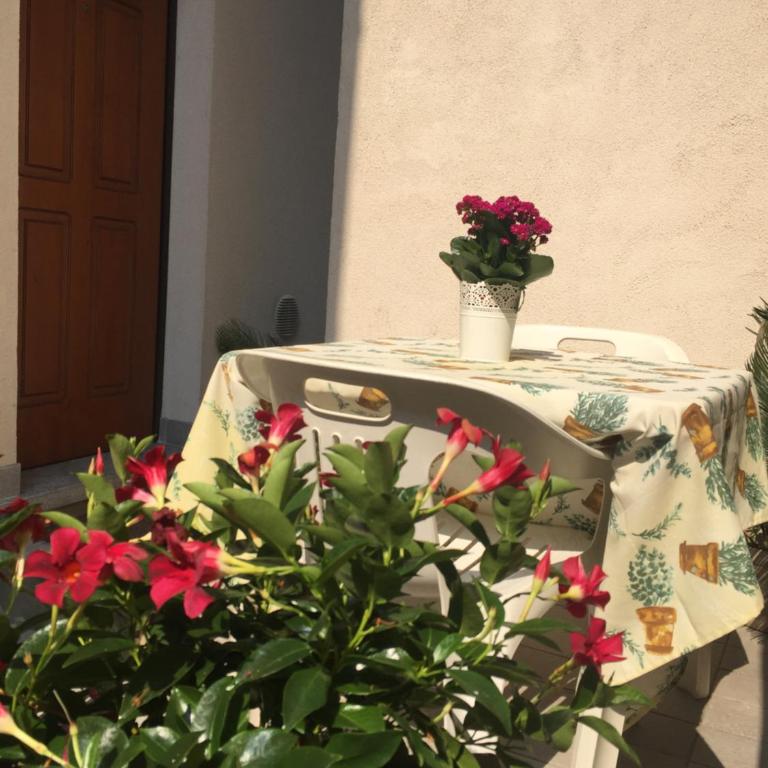 casa stefania - Appartamentino su 2 Livelli - 29