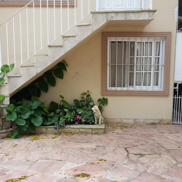 BackPakers Basic Room - Apartamento - Planta baja - 3