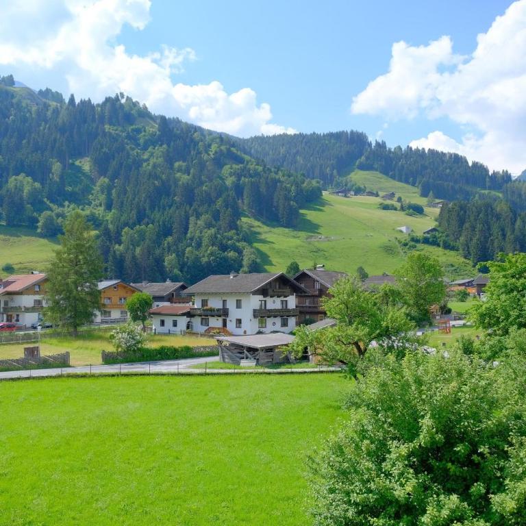 Alpin Penthouse Hollersbach - Penthouse-Apartment - 29