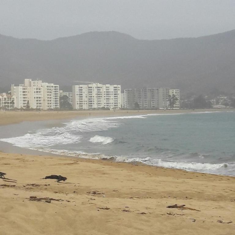 Lomas de Papudo III - Apartamento - 24