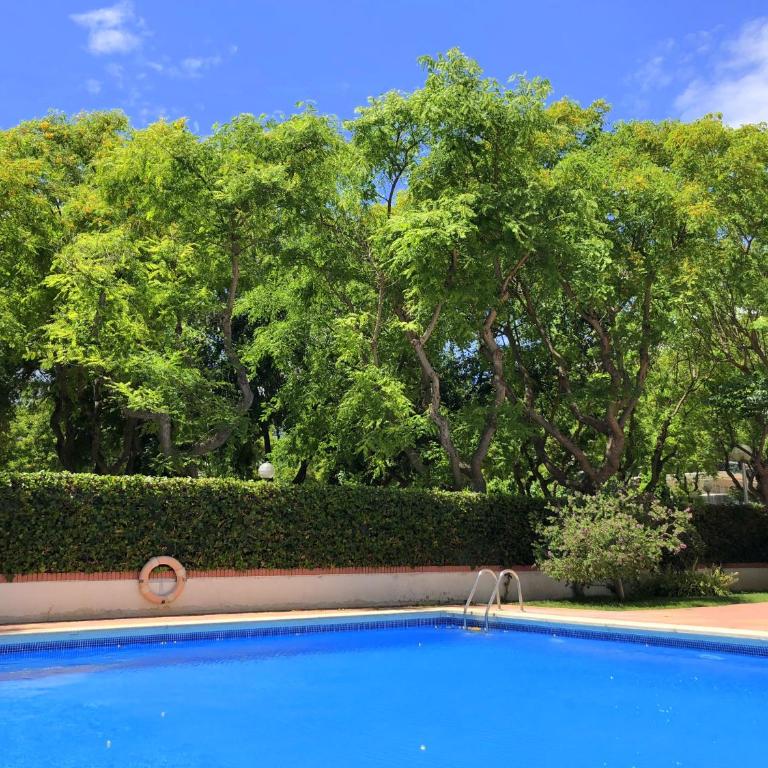 Rentalmar Aventura - Apartamento - 10