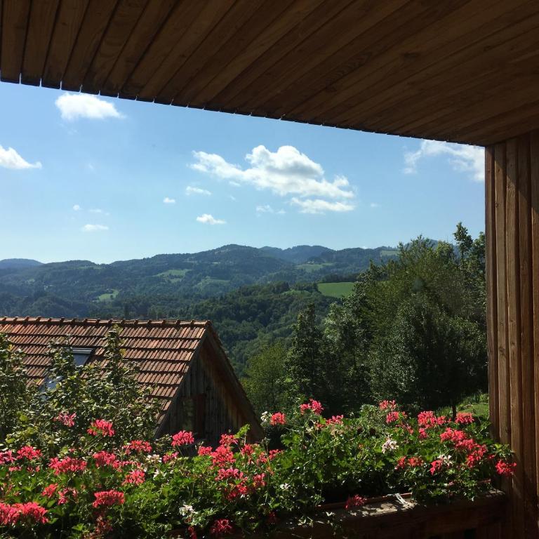 Hofgut-Leitner - Appartamento con Vista Montagna - 12
