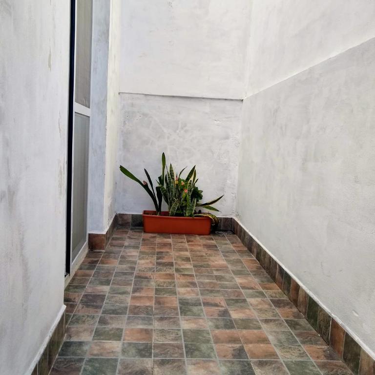 El Balcón - Apartment - 12
