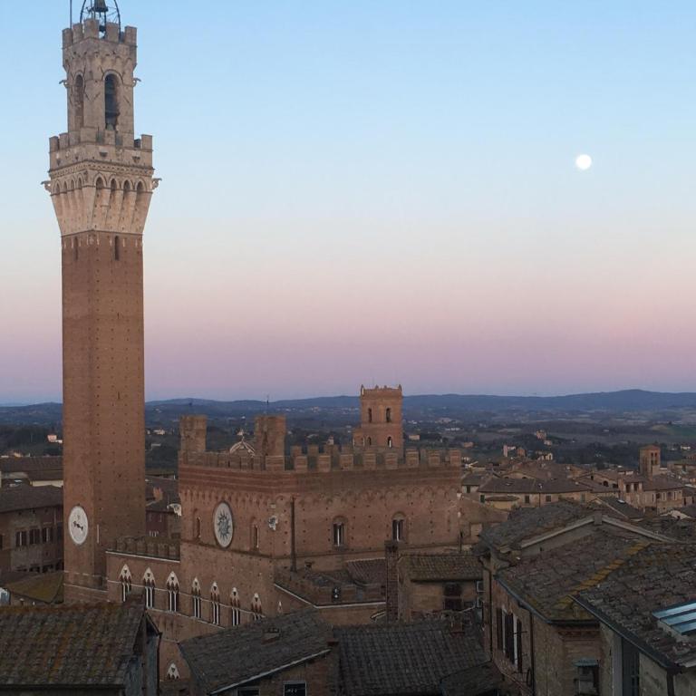 Il NIDO-Attico Siena Centro con vista Duomo e Torre Del Mangia - Appartamento - 13