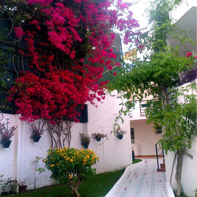 Apartamento Oasis - Apartamento - 23