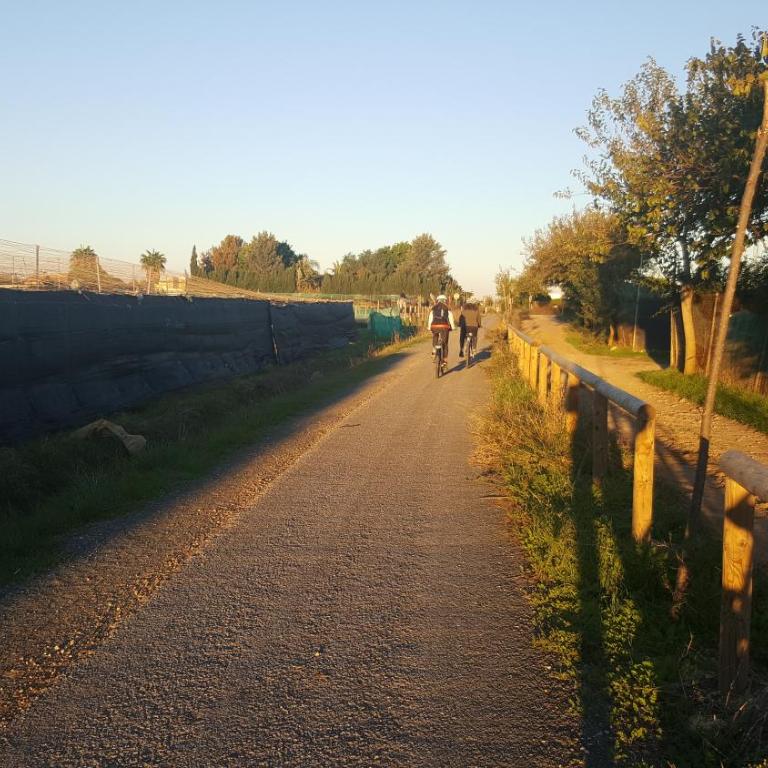 Residencial Costa Doñana (Sanlucar de Barrameda) - Apartamento - 42
