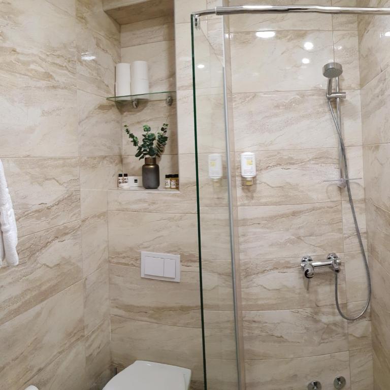 Apis Hotel - Deluks Dvokrevetna Soba sa Bračnim Krevetom - 20