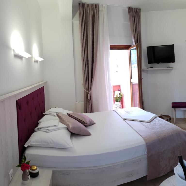 Apis Hotel - Deluks Dvokrevetna Soba sa Bračnim Krevetom - 1