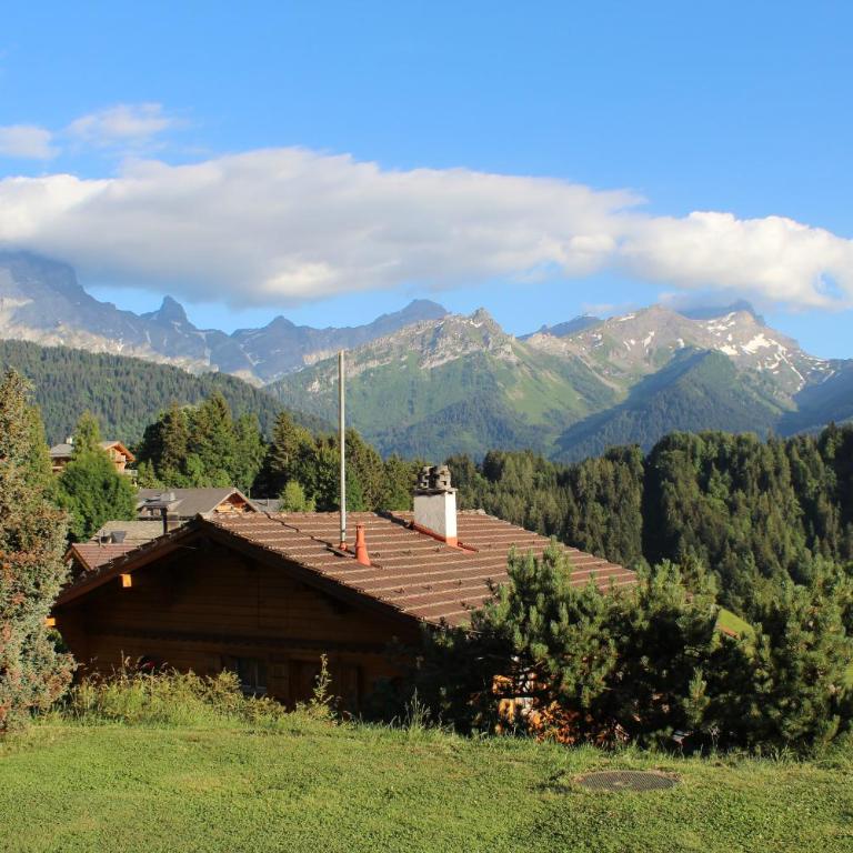 Chalet Le Slalom - Apartment - 27