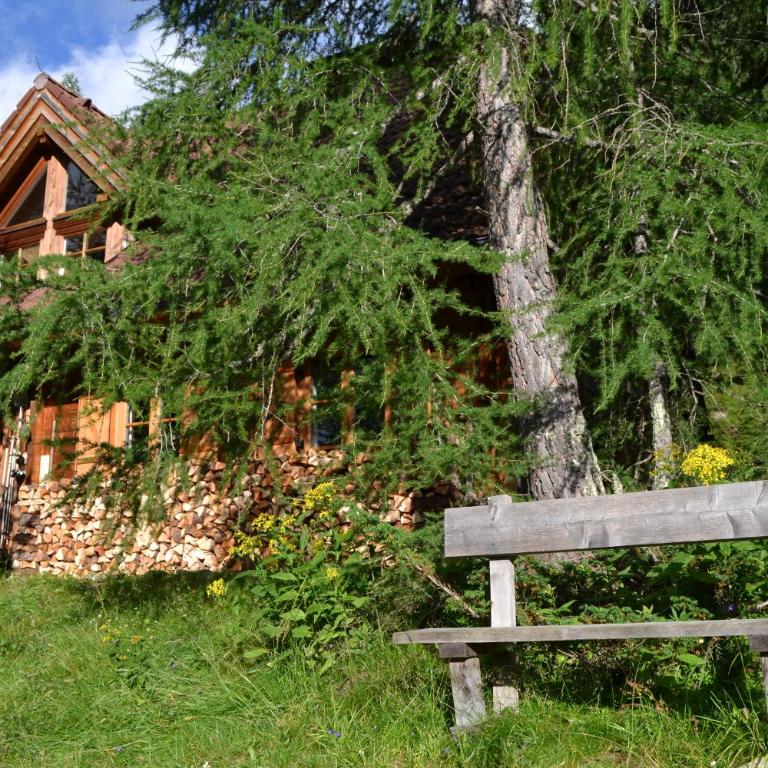 Almhaus Völkl - Chalet - 5