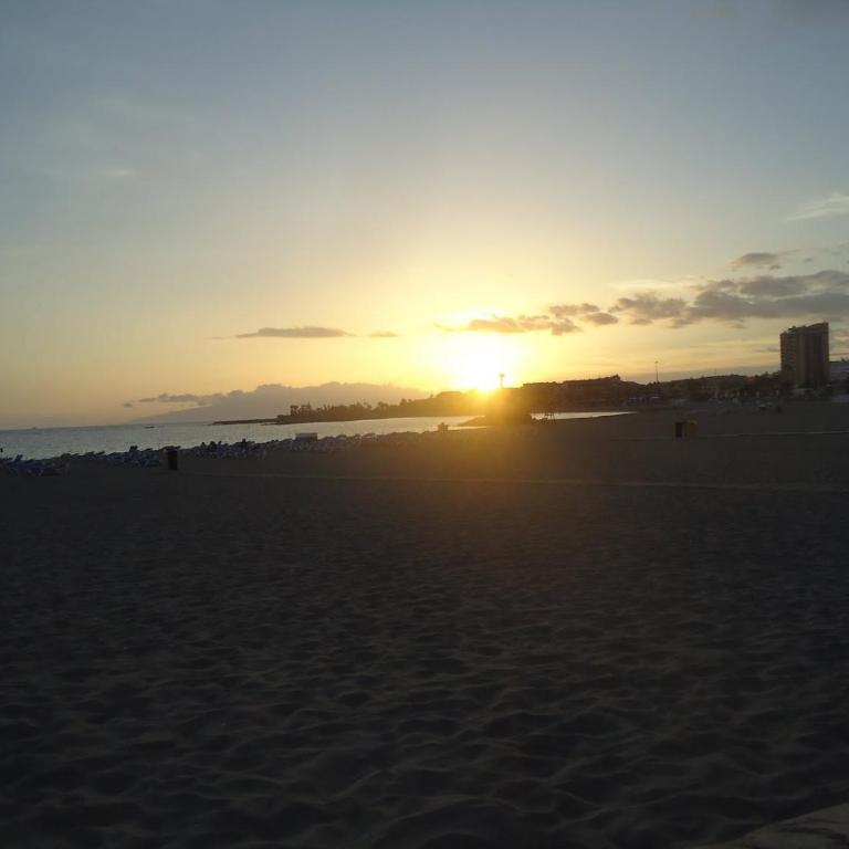 Room 16 - Apartamento - 60
