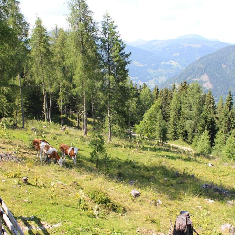 Neuwirth Hütte - Haus mit 3 Schlafzimmern - 30