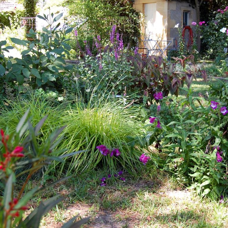 Madeleine Bergerac - Chambre Double - Vue sur Jardin - 17