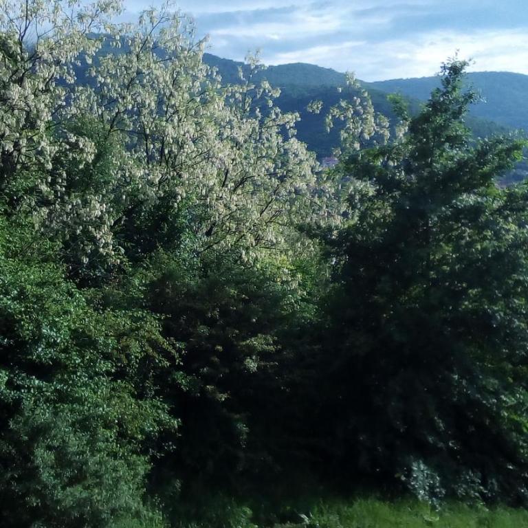 Panorama 5 - Apartman - Prizemlje - 11