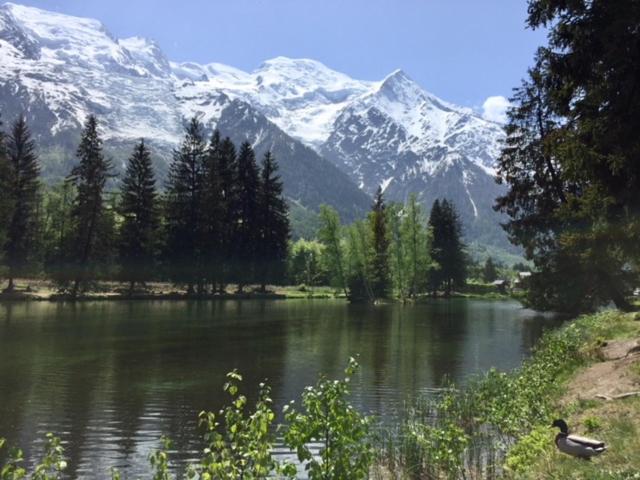 Chamois Blanc - Apartamento - 26