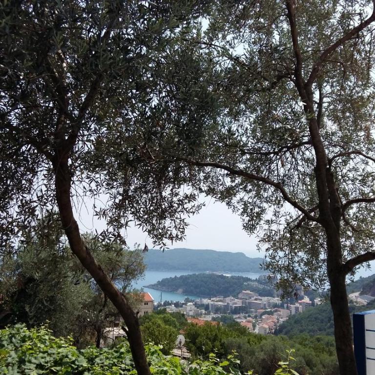 Apartment Bradex Dreams - Apartment with Garden View - 28