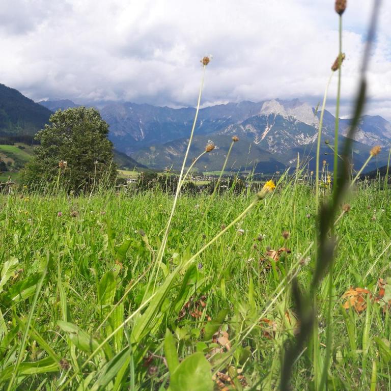 Apartment Millauer - Apartment mit Blick auf die Berge - 16