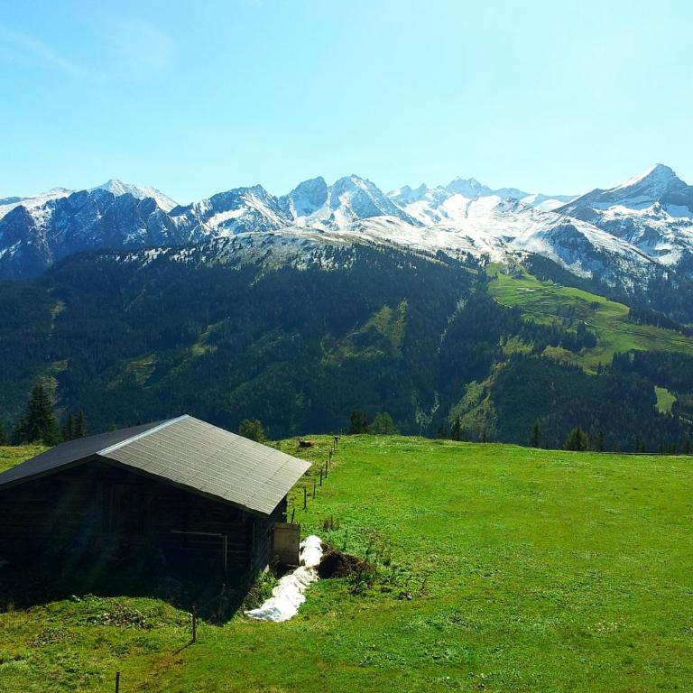 alpenrose hotel-garni - Einzelzimmer mit Balkon - 2