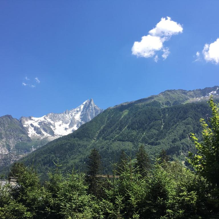 Appart'Hotel Aiguille Verte & Spa - Appartement 1 Chambre - 8