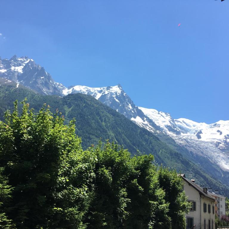 Appart'Hotel Aiguille Verte & Spa - Appartement 1 Chambre - 4