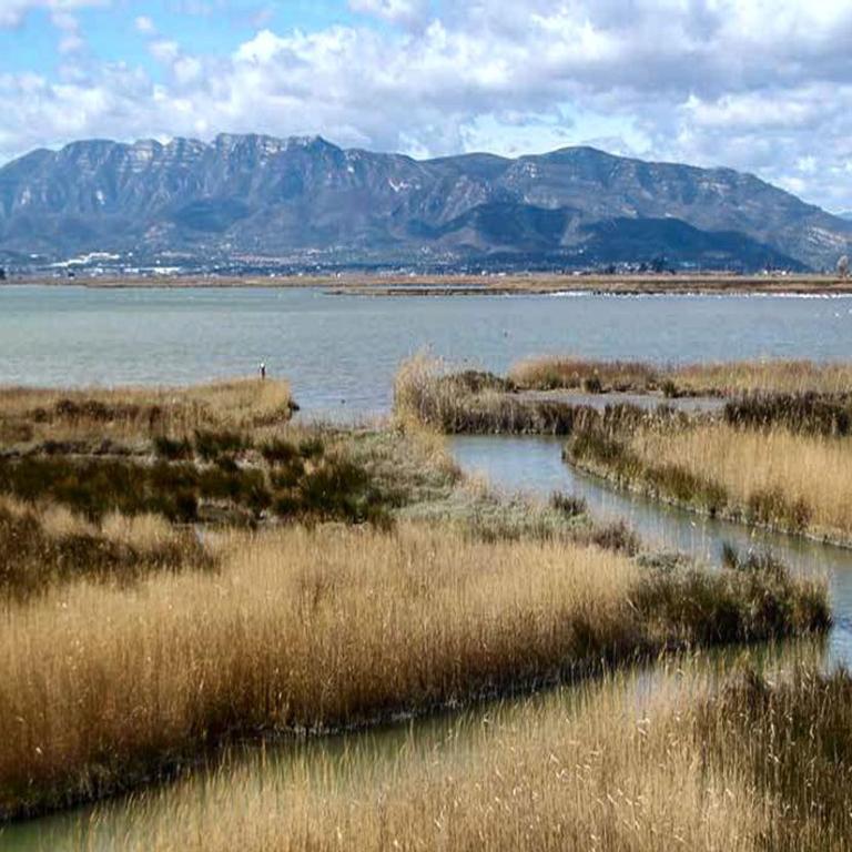 Mi Apartamento en el Delta del Ebro+ - Apartment - 49